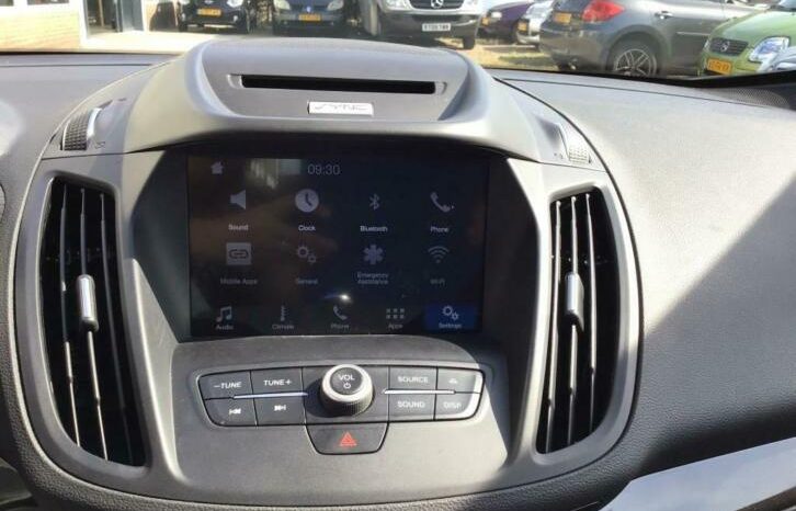 Ford C-MAX green energy vol